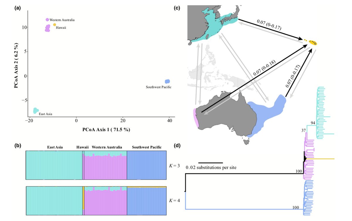 Systematics is a really broad science that often taps into several other disciplines, such as population genetics, phylogenetics, taxonomy, biogeography, molecular dating, and all sorts of other fun stuff. 5/17