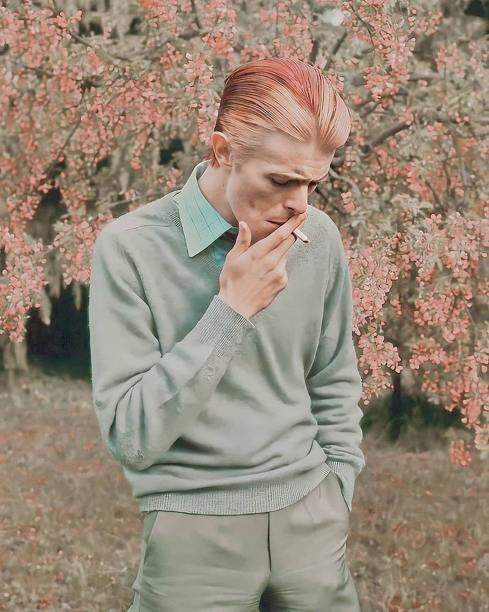 Dr. Valentín Adán tweet media