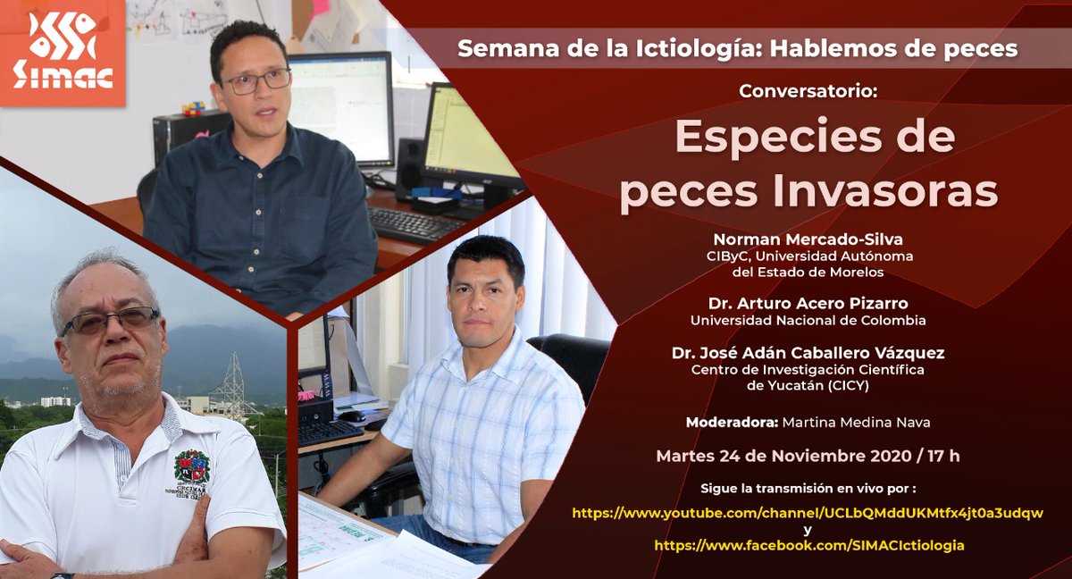 SIMAC87097778's tweet photo. Los invitamos a nuestra Semana de la Ictiología: Hablemos de peces, este próximo Martes 24 de noviembre 17 hrs será el Conversatorio: Especies de peces Invasoras #SIMAC2020, no te lo pierdas! https://t.co/26mZW8HDPr
https://t.co/rFWfS9rUuH https://t.co/E6h5rtDCTD
