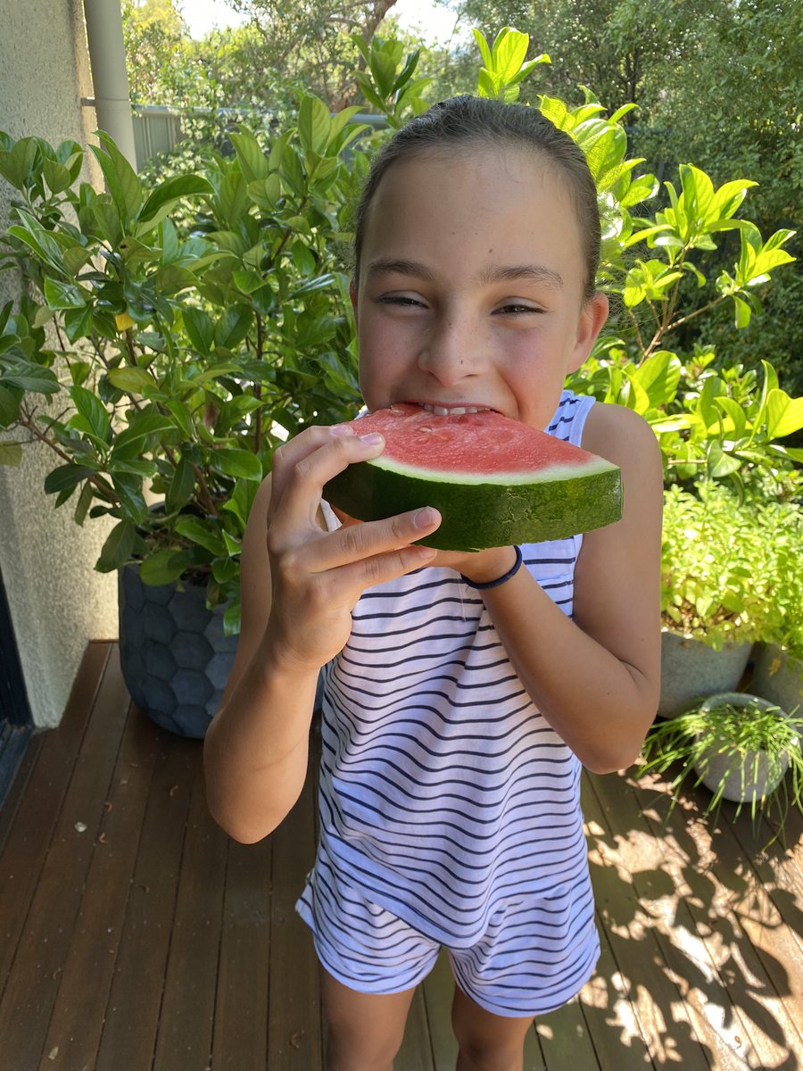 Maggie loving her watermelon 🍉🍉🍉 #agday2020