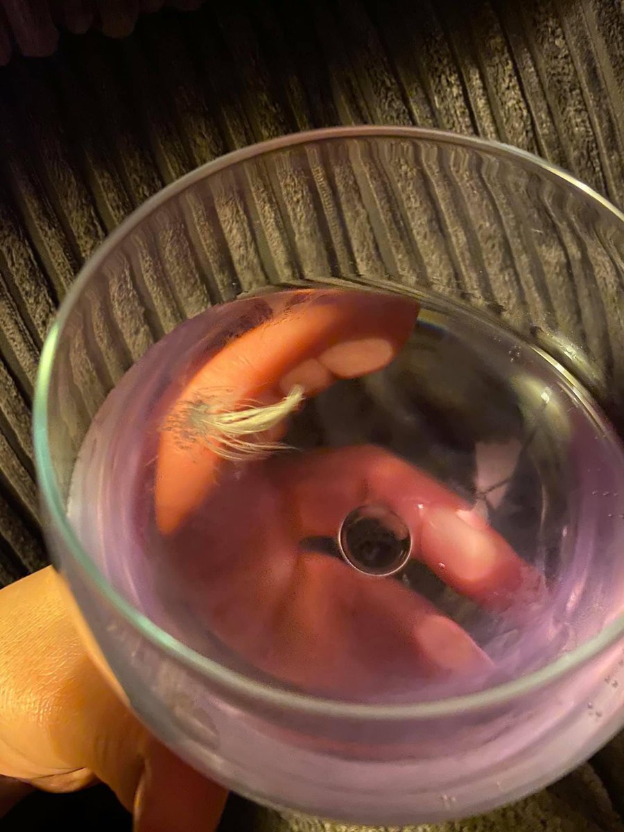 TheLighthouseCe's tweet photo. Today’s reason to smile.......white feather in my Parma violets gin and lemonade! #Angels #PerfectSign #BeingLookedAfter #Gin #Lemonade xxx https://t.co/RZS8dz4Kb5
