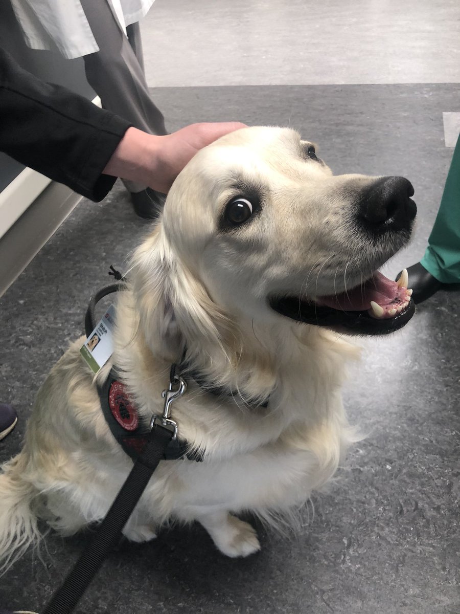 My hospital hired an employee whose only job is to go around saying hi to other employees while they work https://t.co/WWXNeEiWne