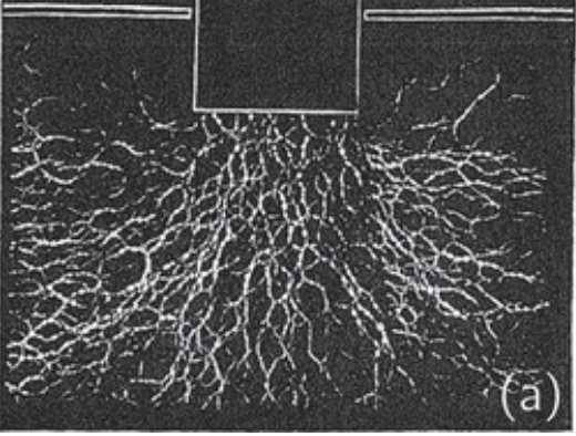 5/ When you stand on sand, your body's weight does not spread out uniformly through the sand. Instead, it spreads out like lightning bolts! Some sand grains carrying most of the weight and other grains carrying very little. Source: Karen Daniels et al.  https://aip.scitation.org/na101/home/literatum/publisher/aip/journals/content/rsi/2017/rsi.2017.88.issue-5/1.4983049/20170714/images/medium/1.4983049.figures.online.f1.jpg