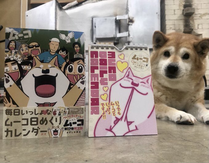 うちの工房と飼い犬ムーコがモデルになった、みずしな孝之先生の『いとしのムーコ』最終巻の17巻が本日発売になりました。沢山