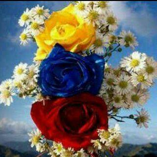 estherm14's tweet photo. #LaEsperanzaNoSeCalla Lamentablemente algunos corruptos se enquistaron dentro de las filas del PSUV, y dañaron esta revolucion, por eso este 6DIC. OTRO GALLO CANTARA https://t.co/HLVmterFin