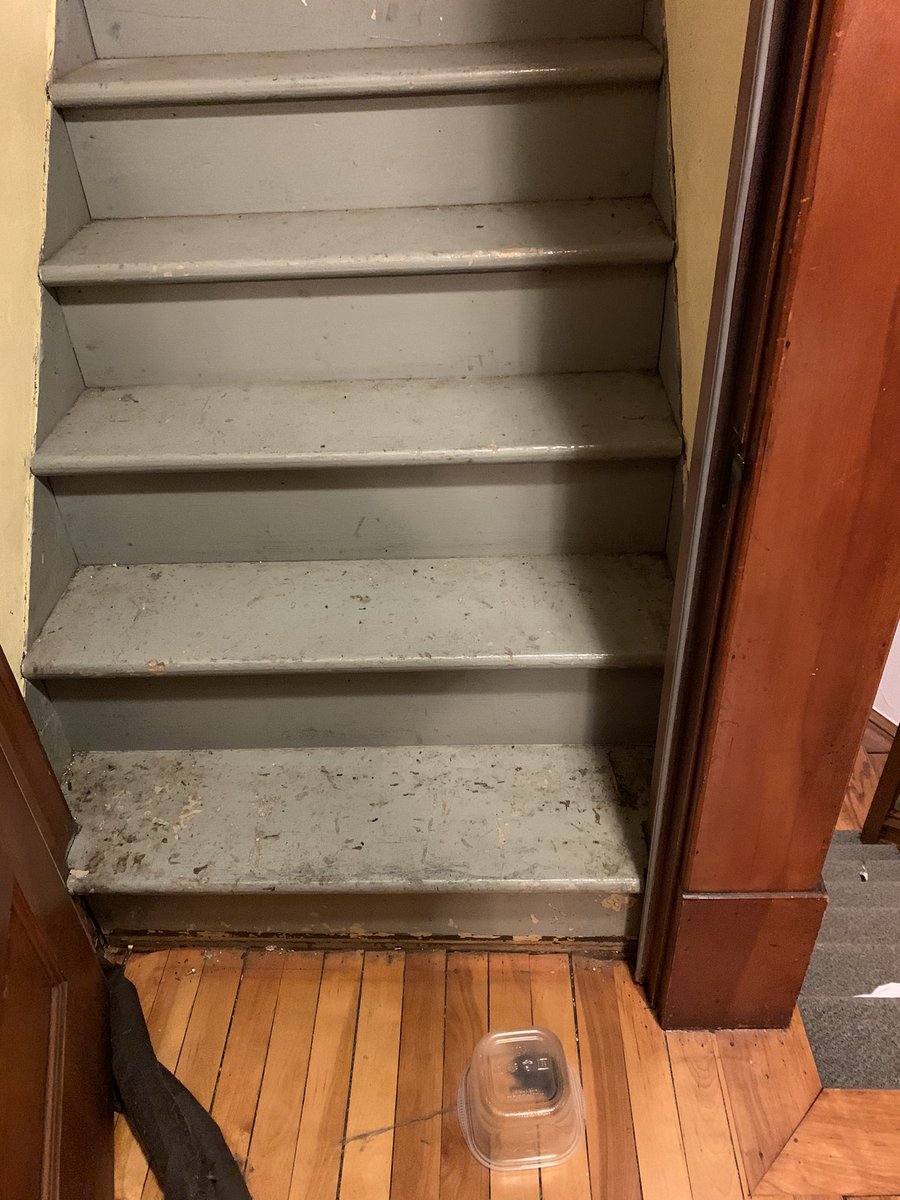 Gawlickbread's tweet photo. @pulte Just had to pay $1160 to fix my roof so no more bats can get it!!!! 🦇🤭 https://t.co/GtXYXqY8aP