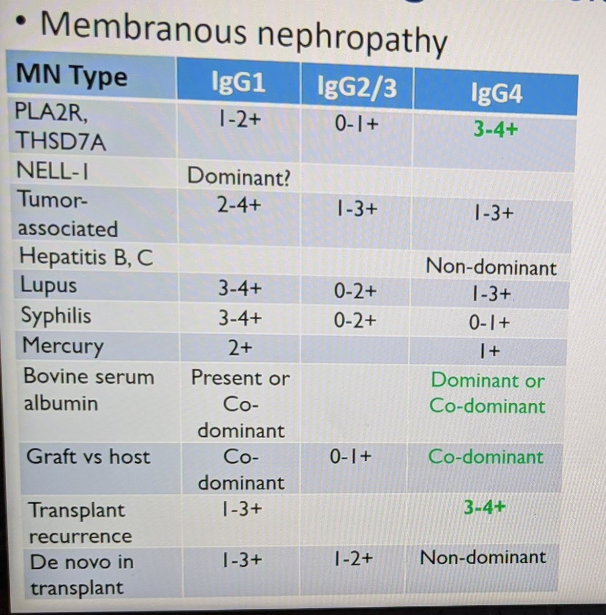 IgG subclass guide in membranous nephropathy (from @Renalpathsoc meeting):