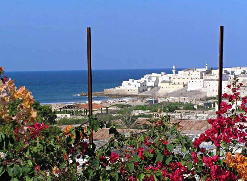 SomEnterprise's tweet photo. Beauty of Merca, Somalia. 🇸🇴

☀️Old capital of the Ajuuraan Empire.
⚜️Coral stone houses, mosques and palaces.
🧵 City of Weavers.
🐟 Major fishing port.

#SomaliRenaissance https://t.co/yuOg8j9DJM