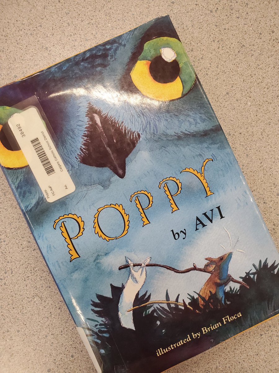 SHeart_CSSD's tweet photo. The grade 5s observed Ofelia the owl as part of their novel study on Poppy.#owls #CWRS https://t.co/YXS88l2YJf