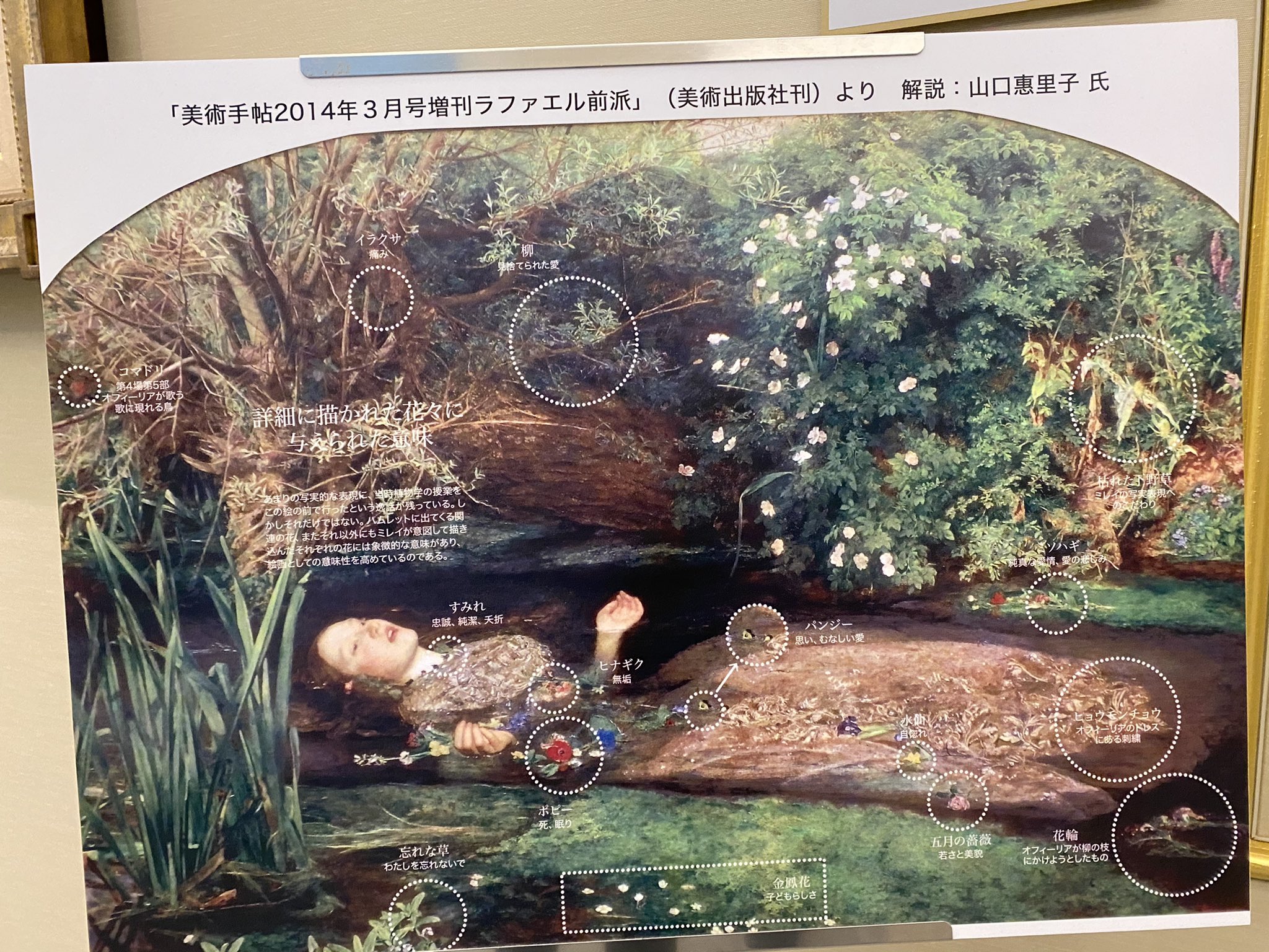 ふっちー 大塚国際美術館 ミレーの オフィーリア の 細かい解説付きの絵が飾ってありましたので こちらでシェアさせていただきます こういう解説があると ぐっと親近感が増しますね 美術館めぐり大好きです T Co Hhptsmx6ff Twitter