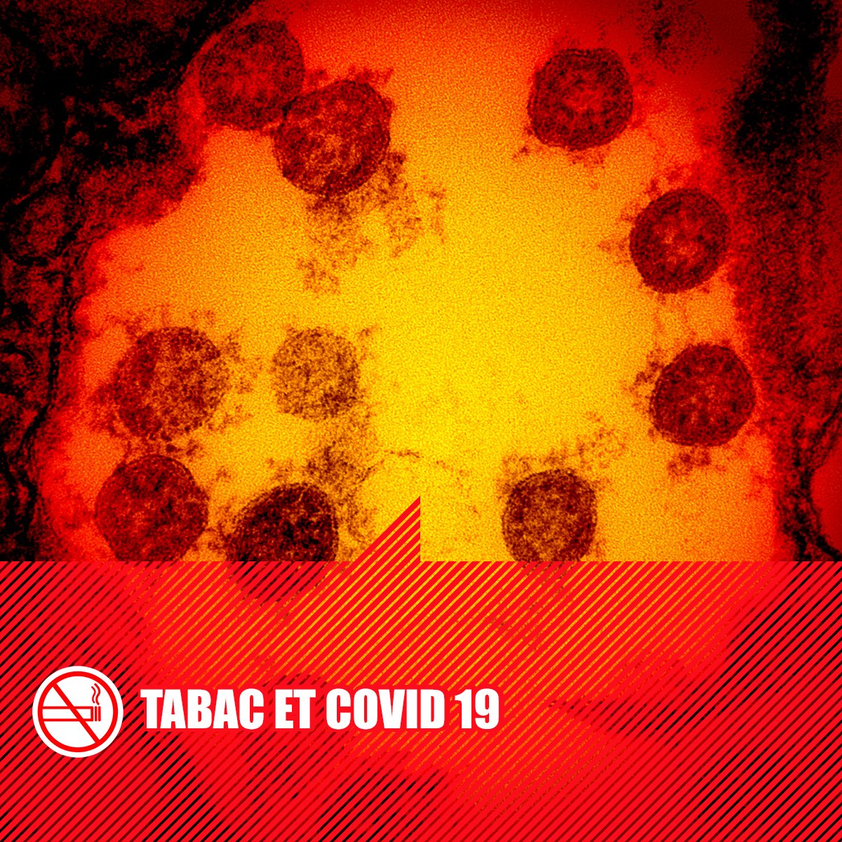 [Tabac]
Non le tabac ne protège pas contre la covid-19. Retrouvez toutes les explications dans cet article sur notre site. 
👉 bit.ly/3nuR0ly