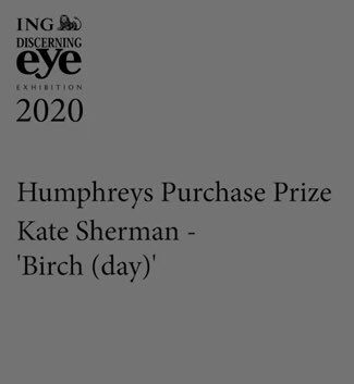 So delighted to have won the Humphreys Purchase Prize at last nights #INGDiscerningEye virtual exhibition opening! Thanks so much to the selectors &amp; organisers &amp; huge congratulations to all the others prizewinners &amp; exhibitors ✨ <a href="/ParkerHarrisCo/">Parker Harris</a>