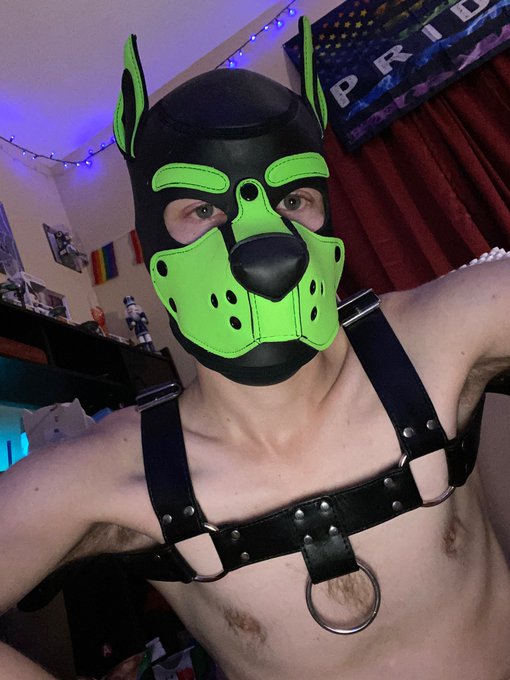 Just a quick Reminder that I am gay and I do not follow female accounts. Any female accounts that follow