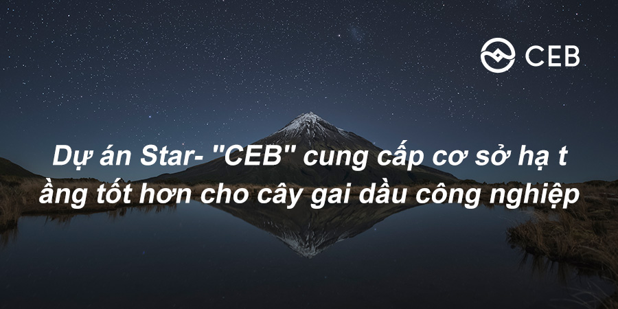 CetCskh's tweet photo. "Chuỗi sợi gai dầu CEB" dựa vào các thuật toán chương trình để tự động ghi lại một lượng lớn thông tin và lưu trữ trên mọi máy tính trong mạng blockchain. Thông tin minh bạch, khó giả mạo và chi phí thấp https://t.co/X88zGVAIgq