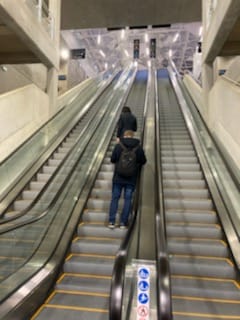 Gaëlle Le Roux tweet media