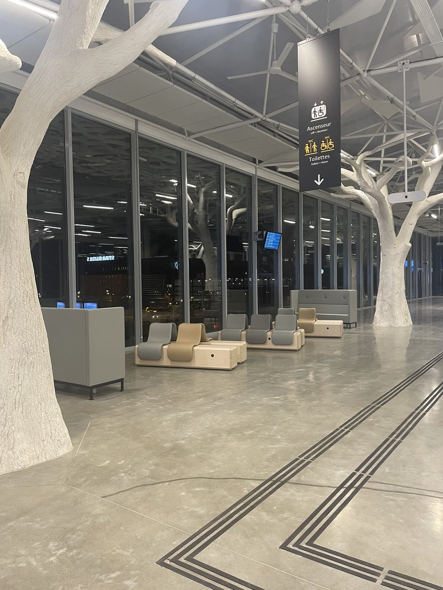 flobezier tweet media