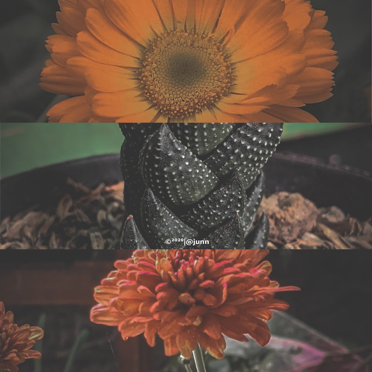 arraziqin's tweet photo. Biar kaya orang²
#lightroom
#fotografer https://t.co/giLDxvwMK9