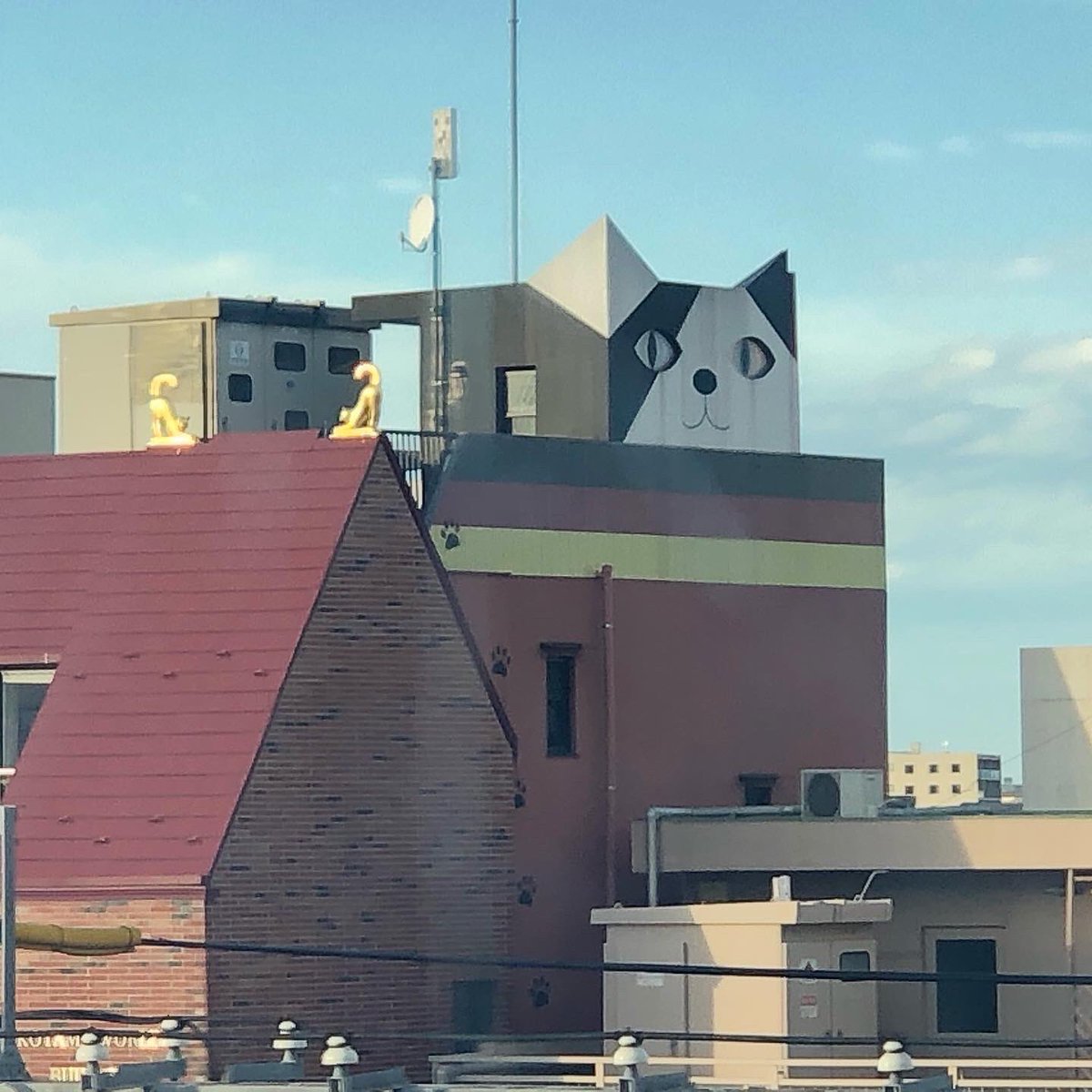 ehrs525's tweet photo. 久し振りの猫ビル

😺
🏢　🚇

#東急東横線
#東横線
#tokyutoyokoline 
#tokyu
#toyokoline 
#猫ビル 
#猫 
#ビル 
#cat 
#元住吉 
#motosumiyoshi 
#川崎
#変わった建物 
#建物 
#建築 
#architecture https://t.co/3Uz41cCBoI