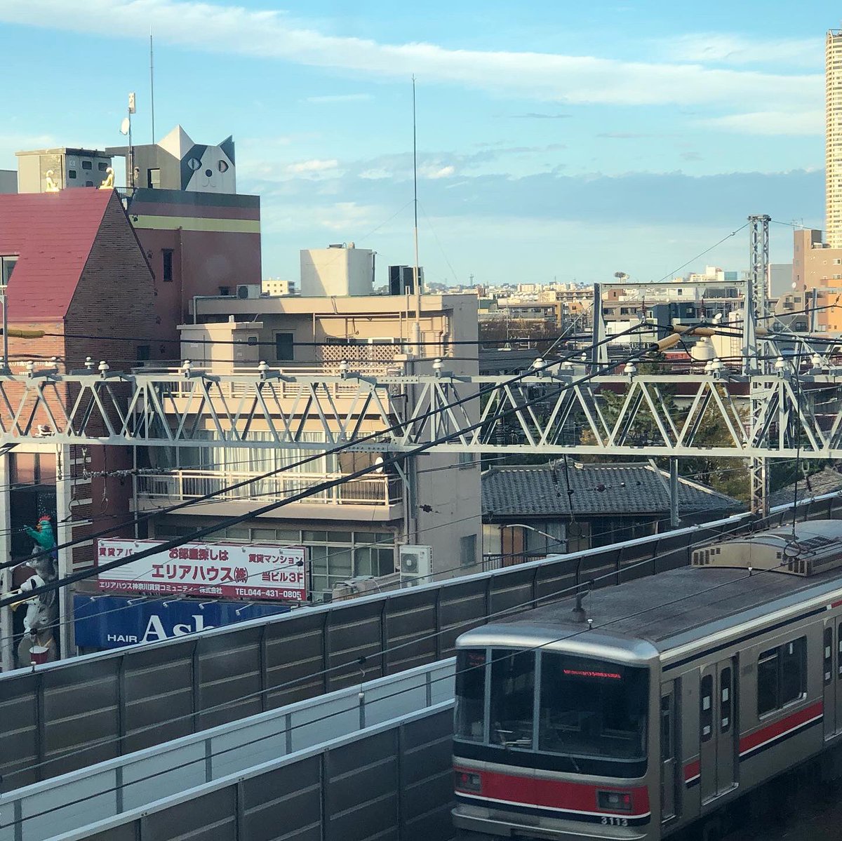 ehrs525's tweet photo. 久し振りの猫ビル

😺
🏢　🚇

#東急東横線
#東横線
#tokyutoyokoline 
#tokyu
#toyokoline 
#猫ビル 
#猫 
#ビル 
#cat 
#元住吉 
#motosumiyoshi 
#川崎
#変わった建物 
#建物 
#建築 
#architecture https://t.co/3Uz41cCBoI