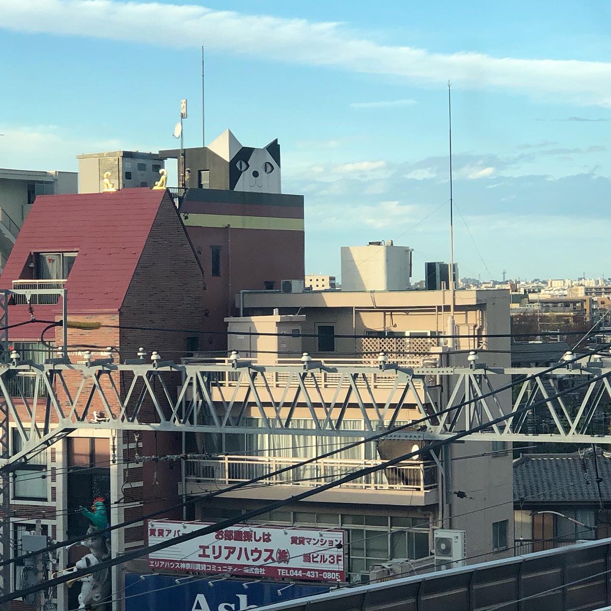 ehrs525's tweet photo. 久し振りの猫ビル

😺
🏢　🚇

#東急東横線
#東横線
#tokyutoyokoline 
#tokyu
#toyokoline 
#猫ビル 
#猫 
#ビル 
#cat 
#元住吉 
#motosumiyoshi 
#川崎
#変わった建物 
#建物 
#建築 
#architecture https://t.co/3Uz41cCBoI