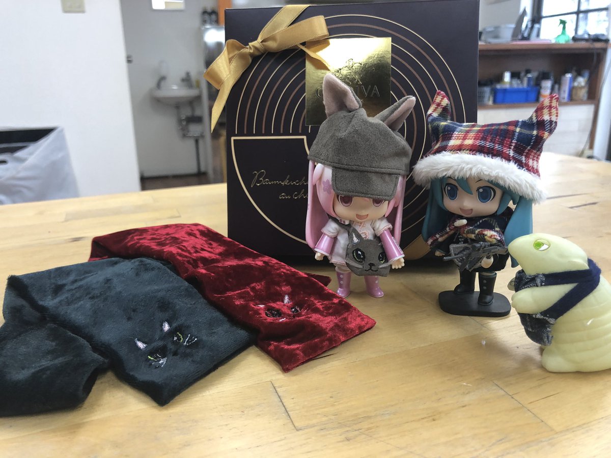 123Nekomimi's tweet photo. 今日は旭工房(@poron_armadillo )ラビフィーにゃん所にお邪魔してるにゃうヾ(*´∀`*)ノ https://t.co/YYyyrakcOM