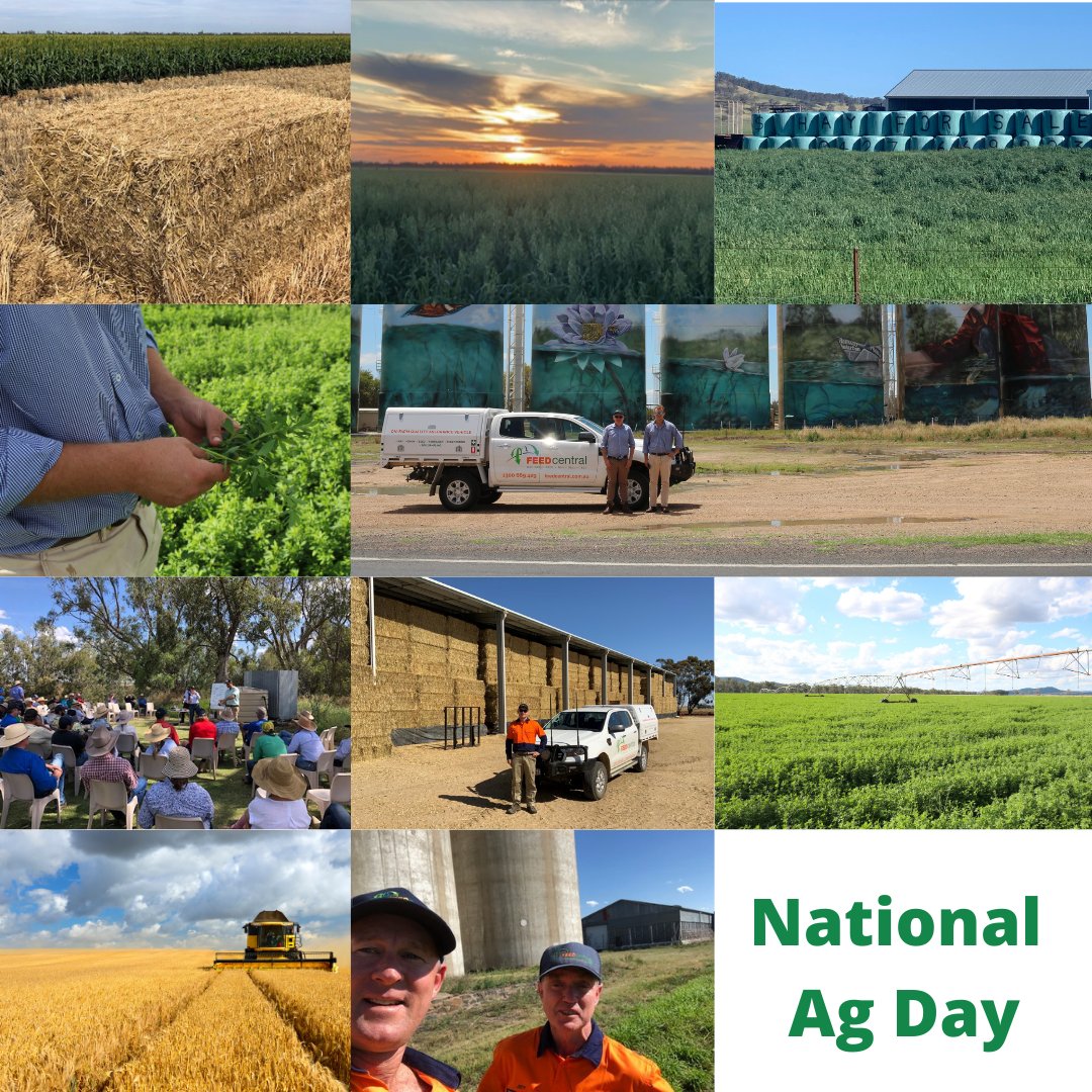 TimTimford's tweet image. Happy National Ag day! Today is a day to recognise all the hard-working farmers, graziers, producers, families and teams in ag who work tirelessly to make sure that we have food on our plates and clothes on our backs! It is a big job, but we wouldn’t have it any other way!