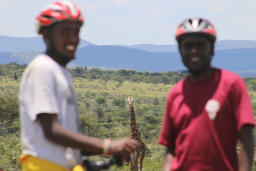 The open plains are calling, answer the call to be part of the Mara Safari Bike Tour by contacting numbers provided or online at tinyurl.com/marasafarir #BetterTogether #mountainbiking #Friday #FridayMotivation