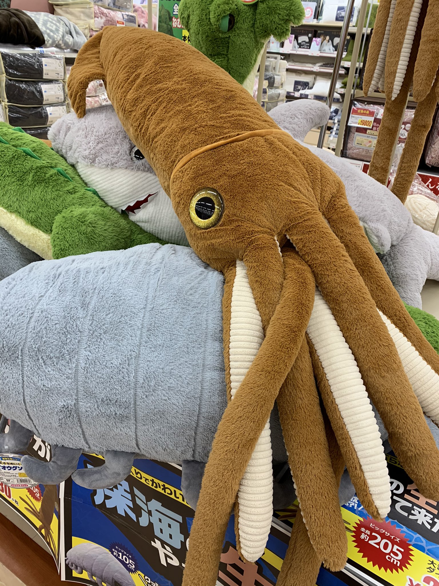 新品 ダイオウイカ2m ぬいぐるみ