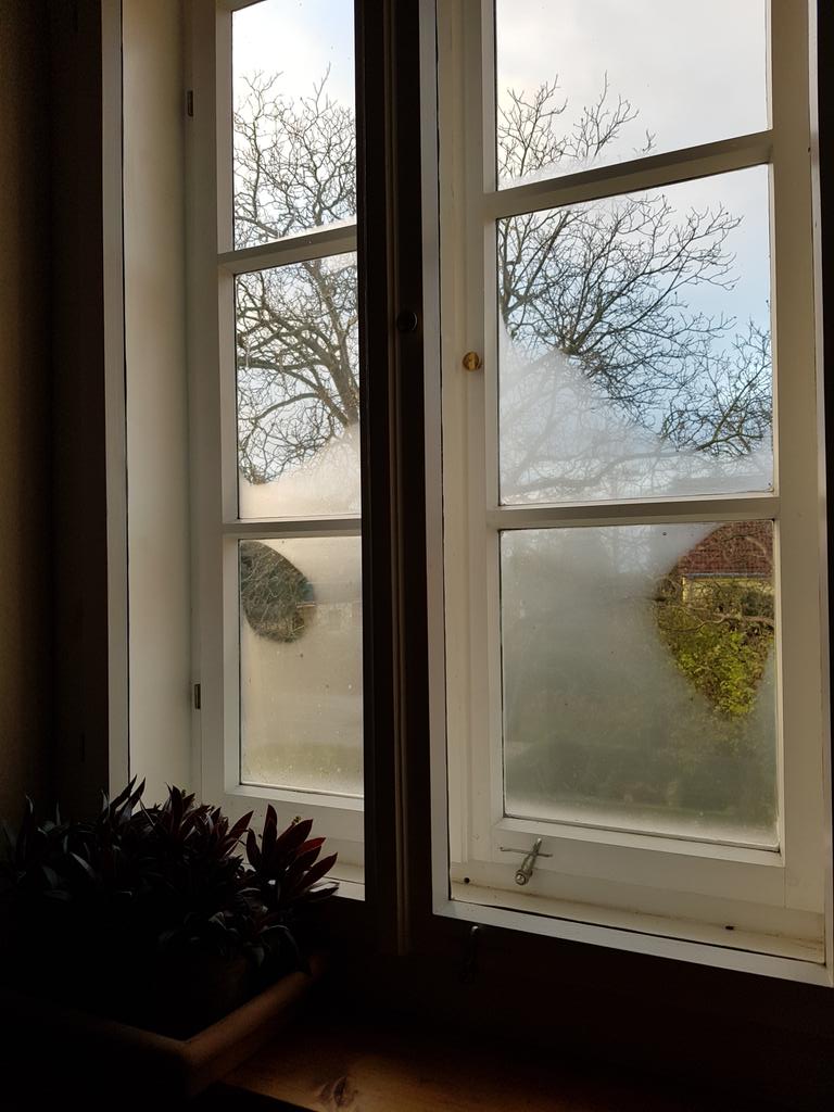 MarionFiedlerTN's tweet image. Good office view. #foggytoday #reallyoldhouse #coolpattern
