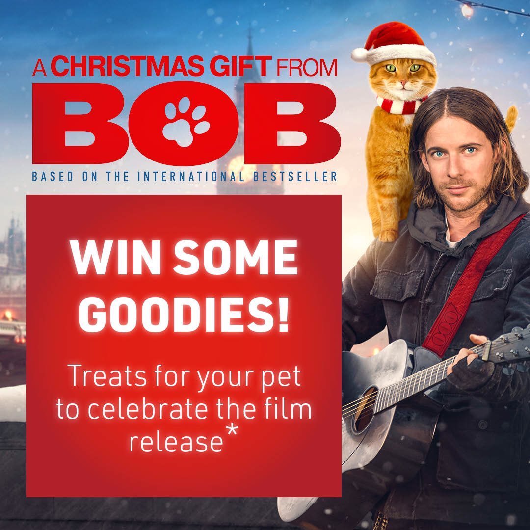 It's #FreebieFriday! Follow &amp; RT <a href="/lauramariescott/">Laura Marie</a> &amp; <a href="/LuxuryLaura/">Laura Marie</a> 
to #win #Christmas treats from #AStreetCatNamedBob  shehearts.net/competition/ #Competition #comp