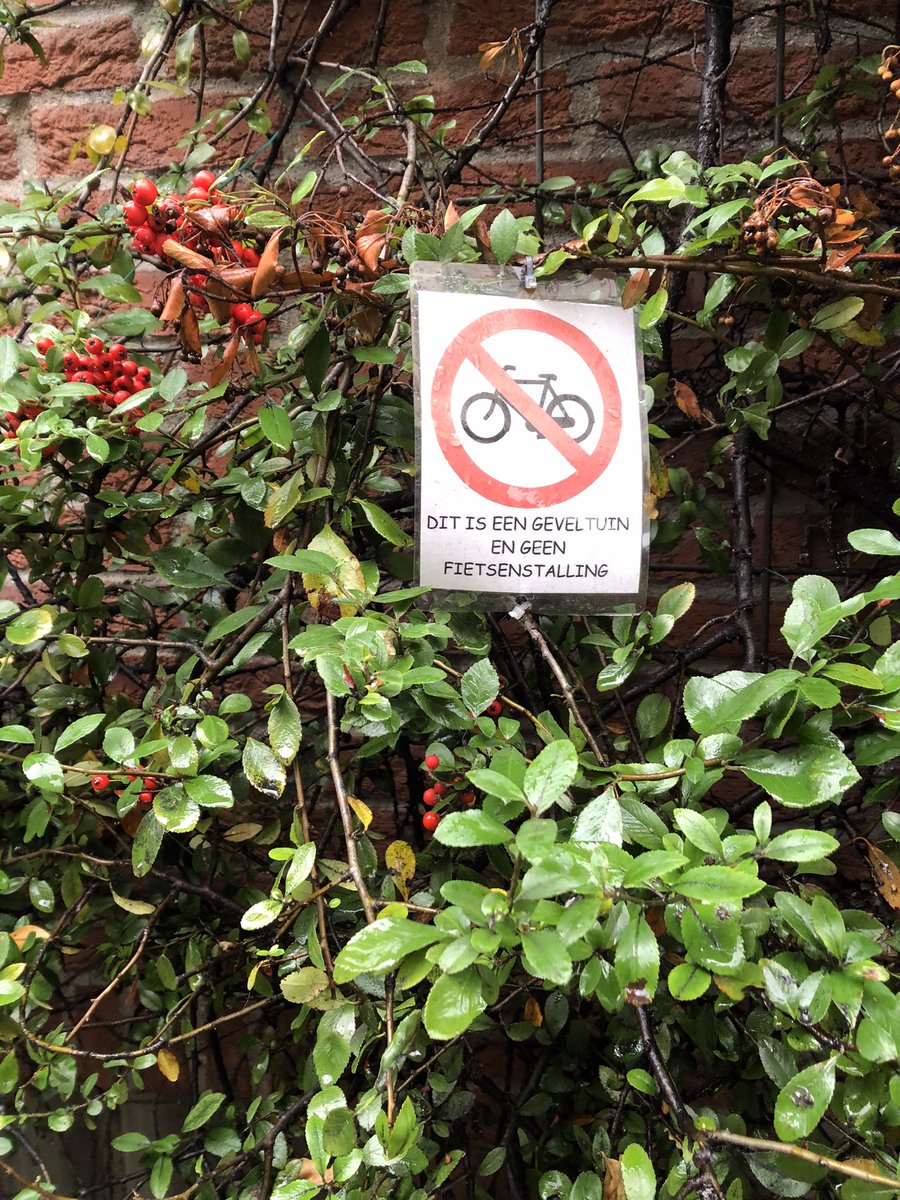 MonicaKeyzer's tweet photo. 🌿Dit is een geveltuin en geen fietsenstalling.
Buiten Oranjestraat - Amsterdam. 
#straattaal #geveltuin #stoepstalling https://t.co/1iLQVVon0x