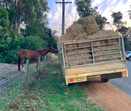 rftte's tweet photo. There I was bored outta my mind ... and right then, xmas arrived on a bloody truck... #funnyhowthingsworkout https://t.co/amdUBGtBgm