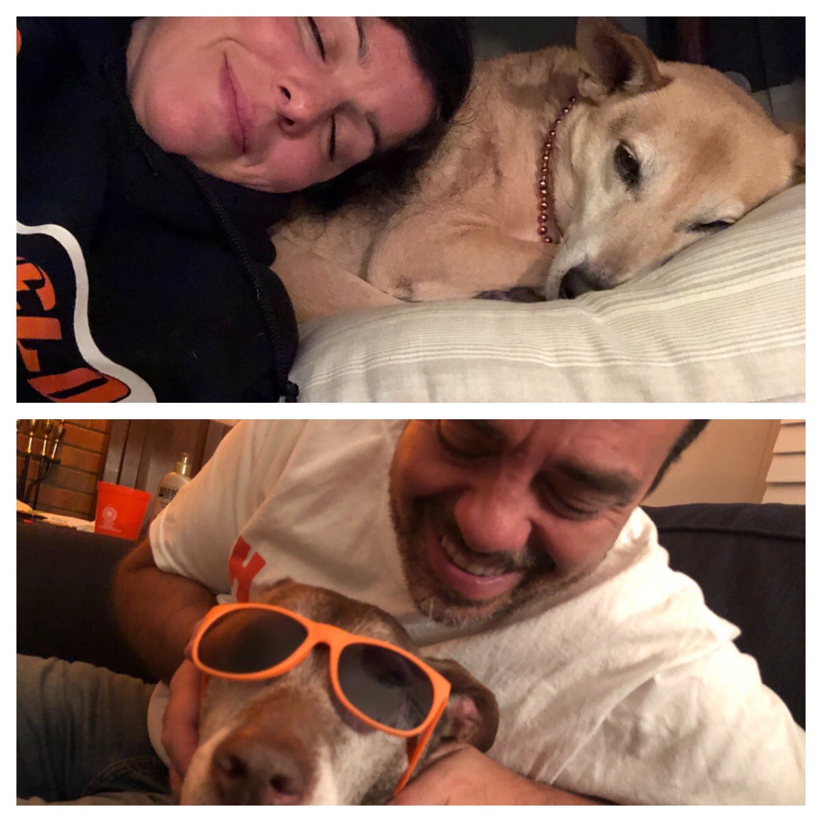 srabusch's tweet photo. A little late with this spirit day but our pups don’t get a lot of love since human children came along, so here ya go...presenting Sandy (Sra. Busch’s dog from Honduras) and Abby (Mr. Busch’s sweet rescue). #quarantinehocofaculty @HayfieldSGA @FCPSHayfieldSS https://t.co/oWIheYtjxy
