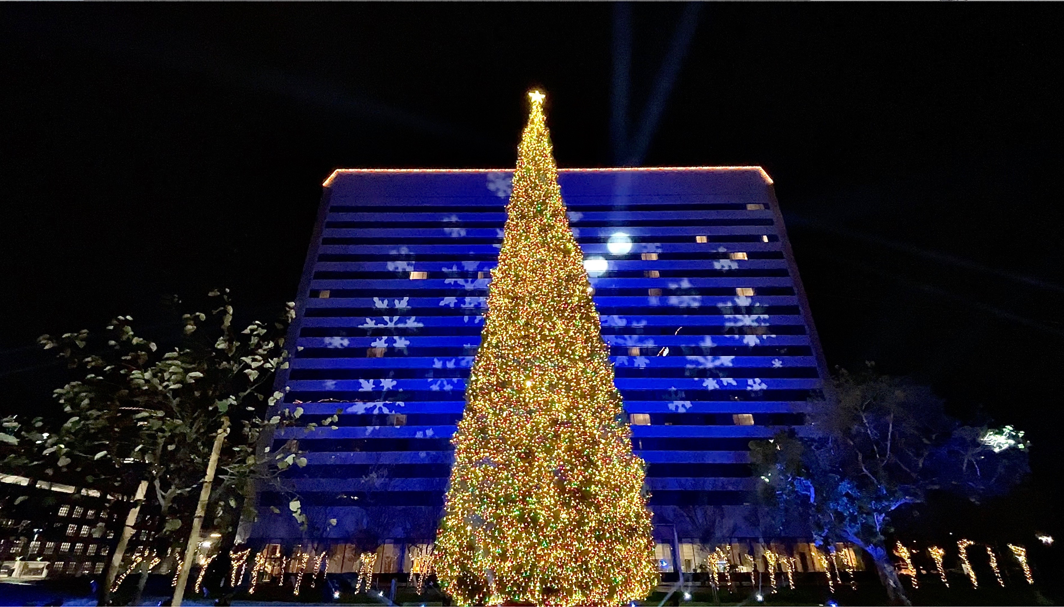 South Coast Plaza Christmas Tree Lighting Ceremony