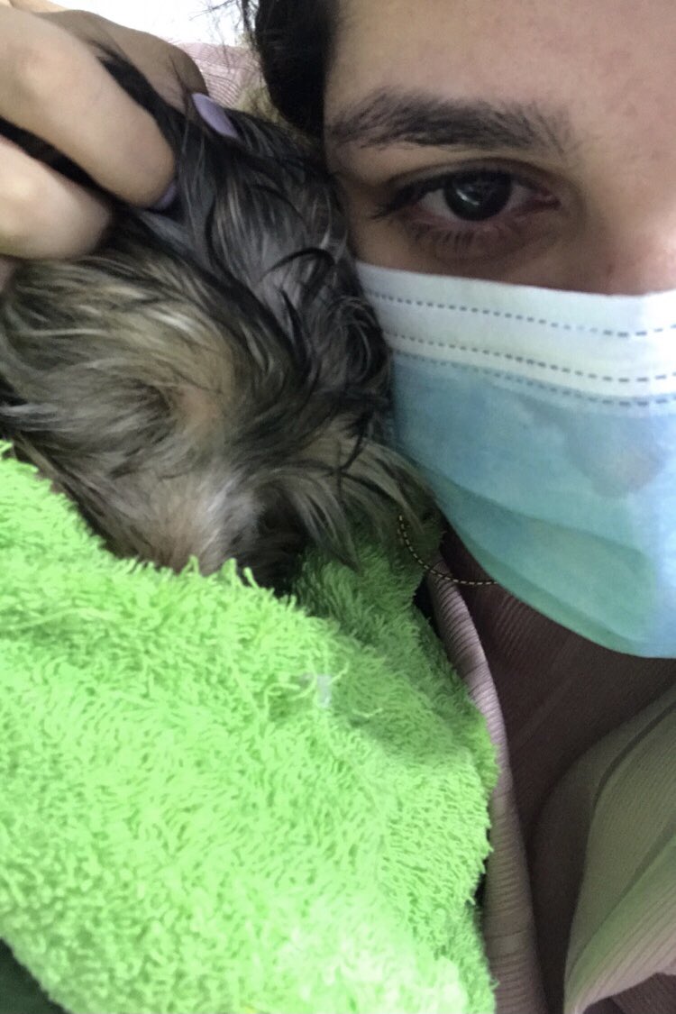 caritodzg's tweet photo. Mi perrita Mia de 3 meses tuvo una caída fuerte, la lleve al veterinario y tiene fractura de tibia y peroné, le realizarán la rx y resto de tto pero en solo exámenes y hospitalización la cuenta va en $582 no suelo hacer esto pero necesito ayuda🙏🏻😔 Bancolombia Ahorros 48388727694 https://t.co/7FQROkaAK6