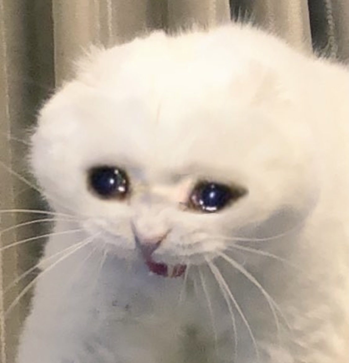 sh4niaaa's tweet photo. i be forgetting that im emotional attached to #GreysAnatomy .. im over here crying in the club rn 🥺🥺 https://t.co/ZqVAFuht8E