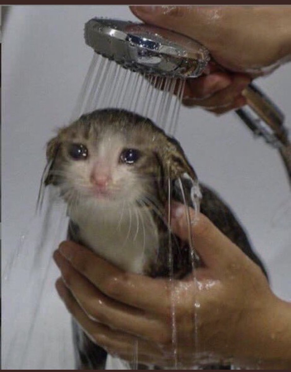 sh4niaaa's tweet photo. i be forgetting that im emotional attached to #GreysAnatomy .. im over here crying in the club rn 🥺🥺 https://t.co/ZqVAFuht8E