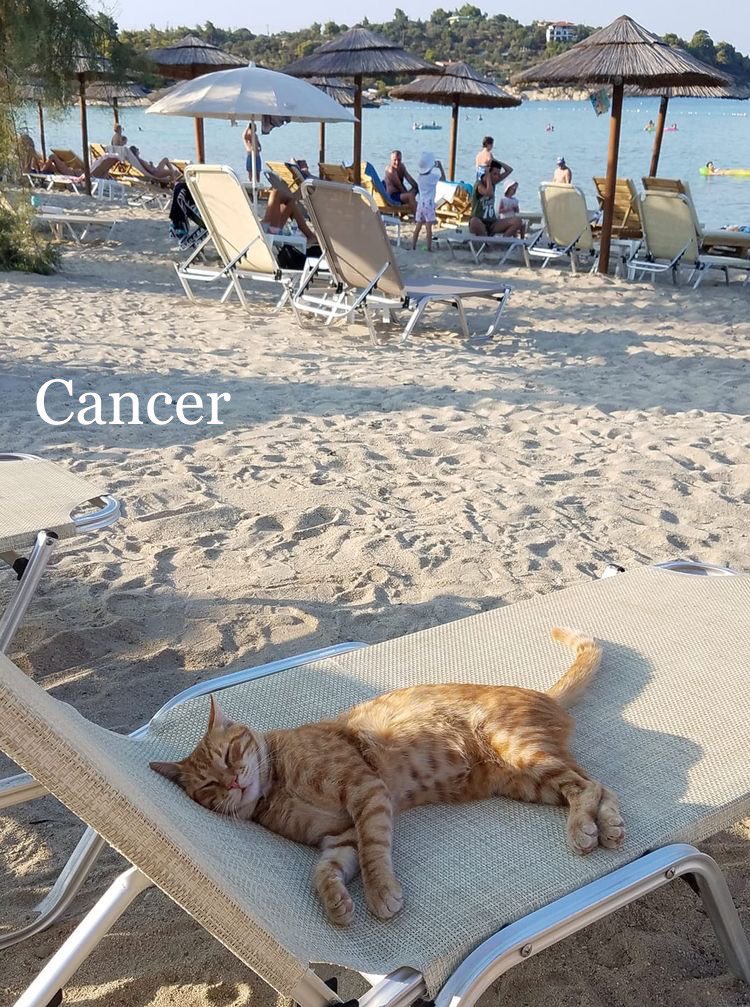 freakingAud's tweet photo. Sag 🌞 Sag 🌙 Cancer 💫 https://t.co/rAfalpXXkf