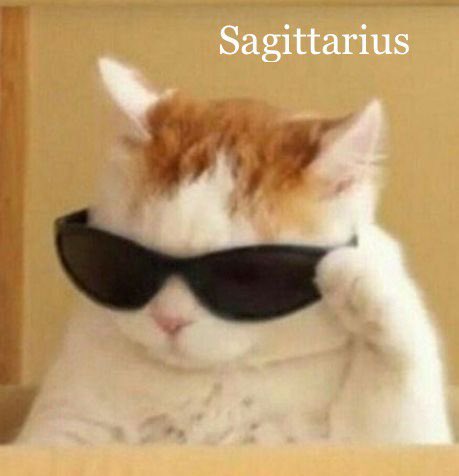 freakingAud's tweet photo. Sag 🌞 Sag 🌙 Cancer 💫 https://t.co/rAfalpXXkf