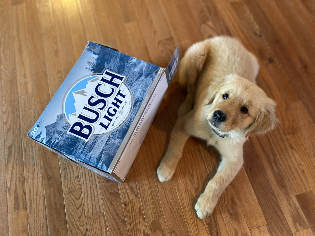 obviousleeann's tweet photo. #Dogbrewbundle #DogBrewSweepstakes #Buschlight #BuschLatte @BuschBeer https://t.co/fcP0bDWeTp