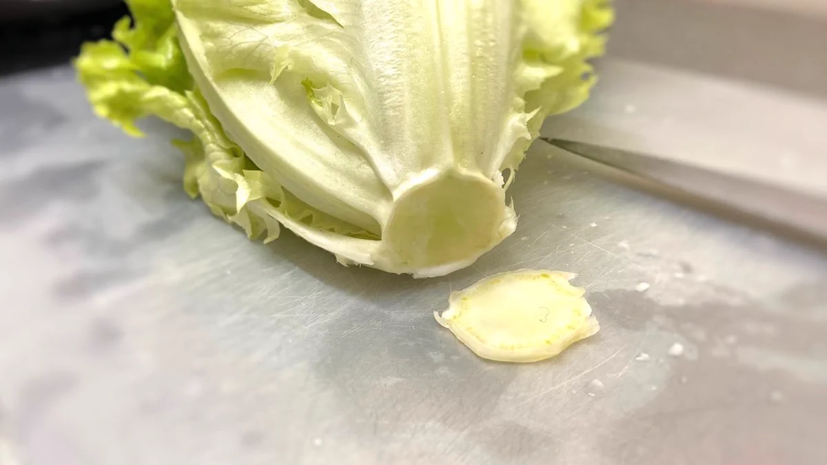レタスをシャキシャキにする方法！少しの手間でレタスが長持ち！