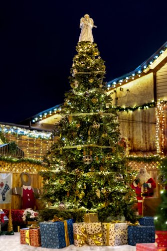 SavvyMomNY tweet media