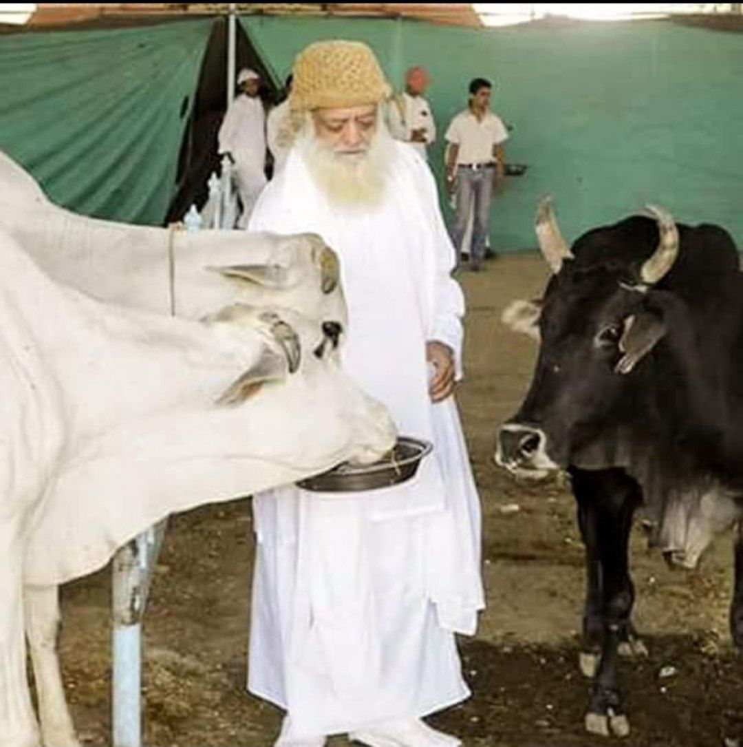 Sant Shri Asharamji Bapu 
Gau Dhan 
Adbhut Labh
#DesiGaay