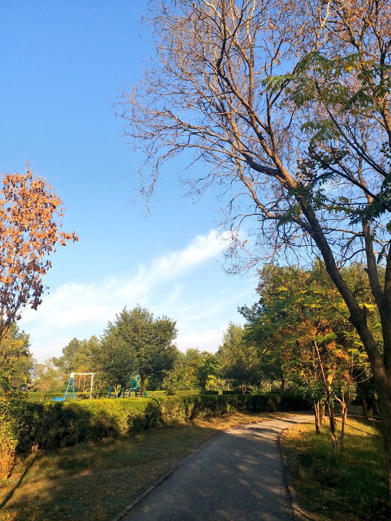 aamirsamjad's tweet photo. Shades of winter
#Islamabad
#colorsofwinter
#WinterIsHere
#winteriscoming
@IslamabadHome https://t.co/9mrTKUWJS8