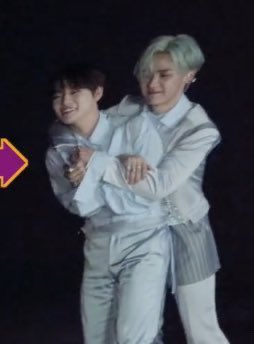 littlekuns's tweet photo. 🐬🐻 https://t.co/8wFqRexvNE