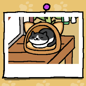 nattyfromhell2's tweet photo. 太った猫#ねこあつめ https://t.co/7ojbOkKjSS