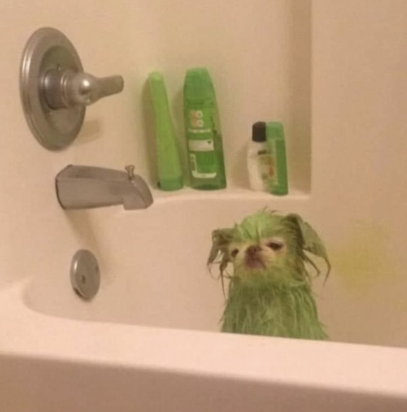 garyfromteenmom's tweet photo. the kiwi in the back of my fridge watching me reach for the 2 week old leftovers https://t.co/rPmTzYVMY5
