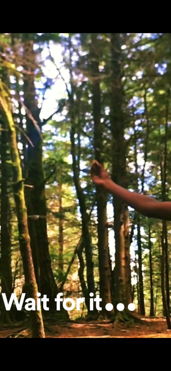 preeathma's tweet photo. Hand feeding Wild bird | Tiger mountain cable line trail https://t.co/WmshM3MuU1 via @YouTube https://t.co/csOWgVHRdj