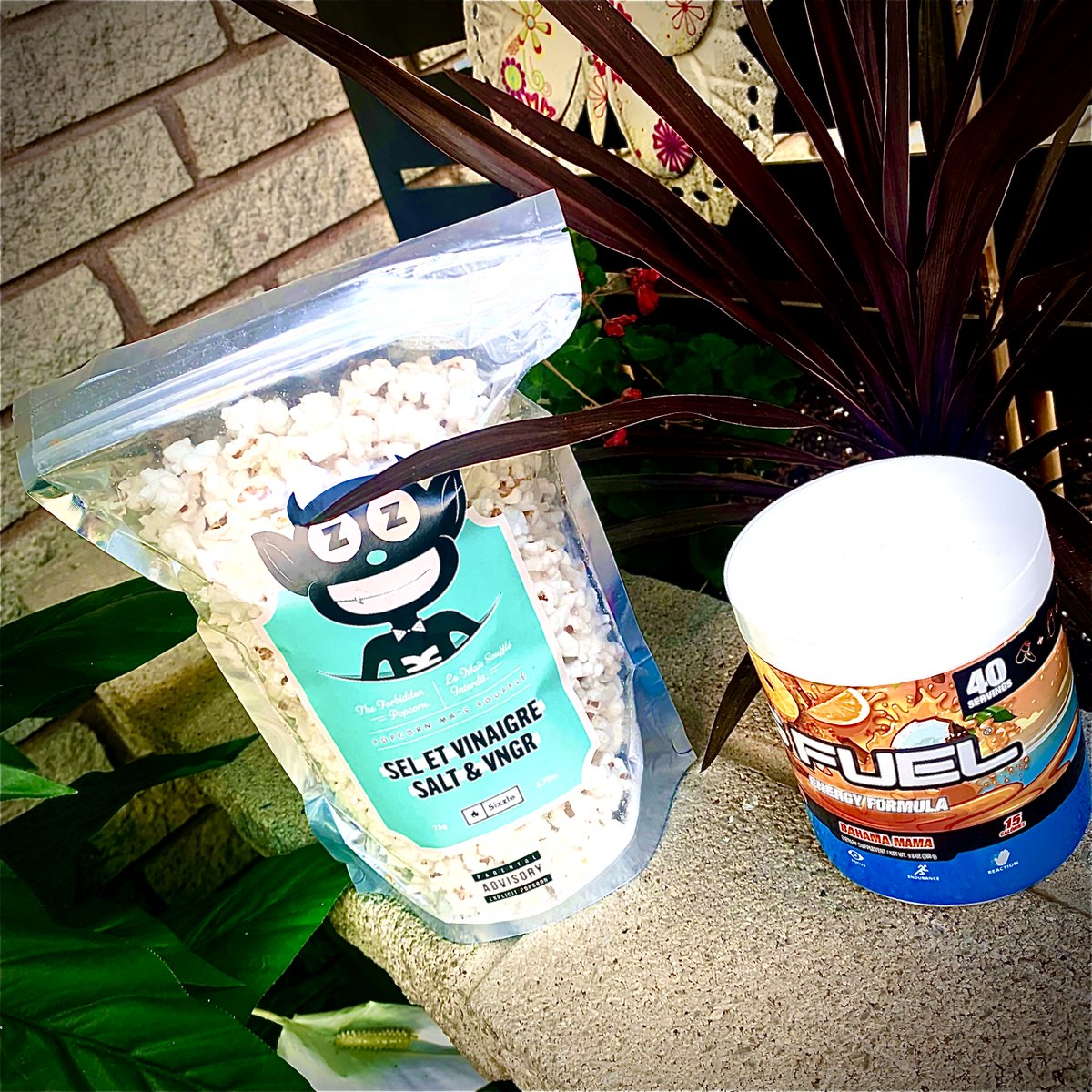 CamminHD's tweet photo. I don't know what makes me more happy... The popcorn itself or the fact that code "camminhd" saves me 10% on all orders !

Sizzle popcorn, Snack with the Devil. 🍿😈

Code "camminhd" for 10% off.
🛒:https://t.co/Idk68Jg7da
#CodeCamminhd #Sizzlepopcorn https://t.co/dmRJgqi714