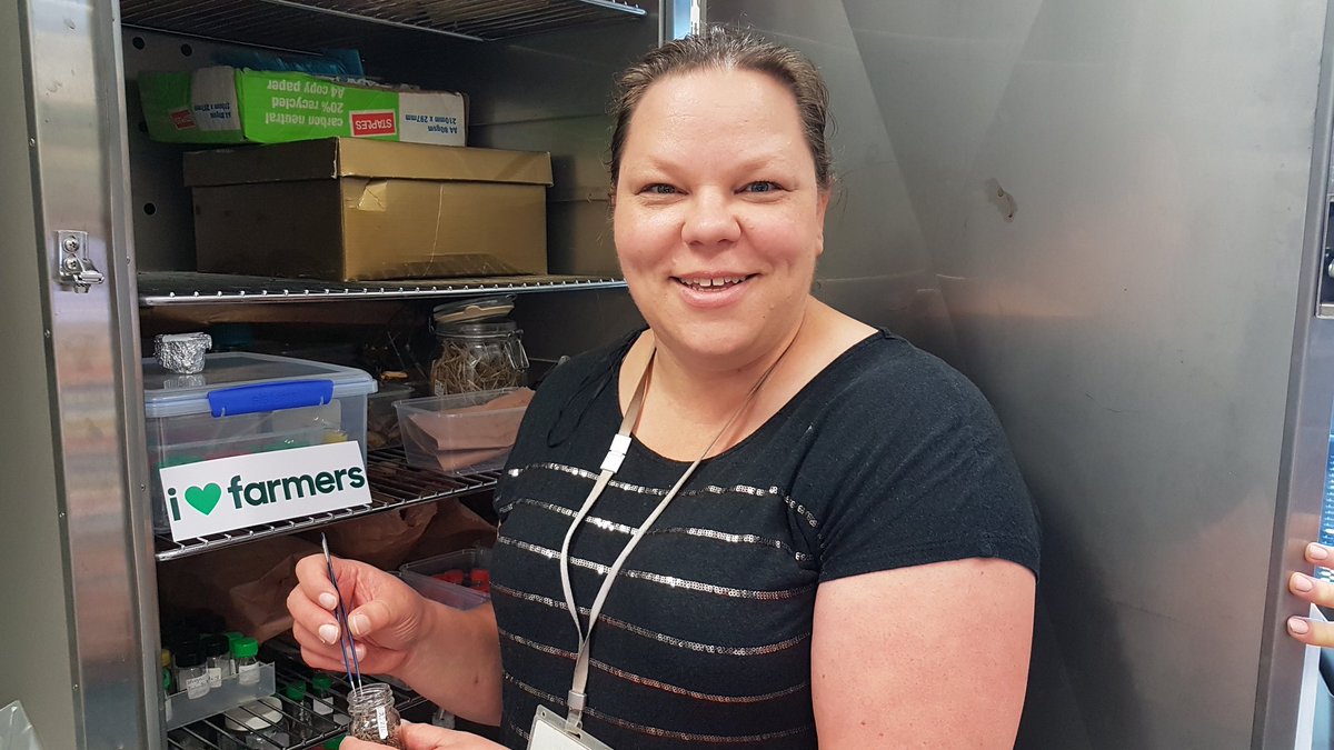 TheMPV's tweet photo. Researcher &amp; PhD student Anna at #biosecurityqld working on eradicating #redwitchweed from coastal, central #Qld to protect production &amp; trade for Australian grain growers &amp;  industry. #AgDayAU  recognises everyone doing their bit for farmers. https://t.co/4BPBN8sWVv